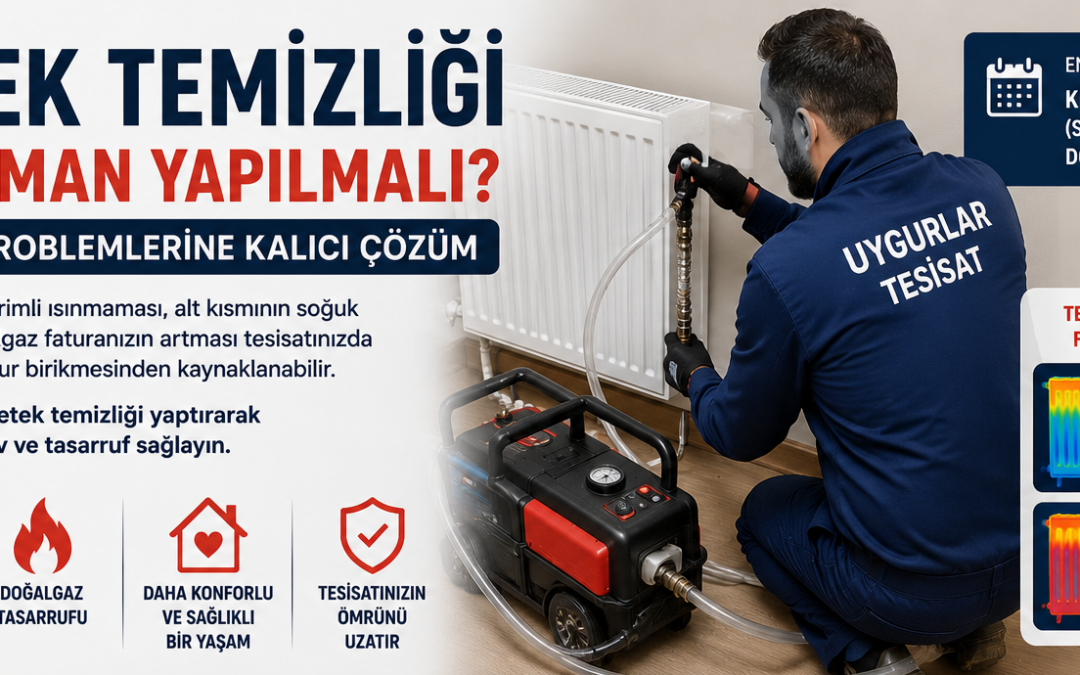 Petek Temizliği Ne Zaman Yapılmalı